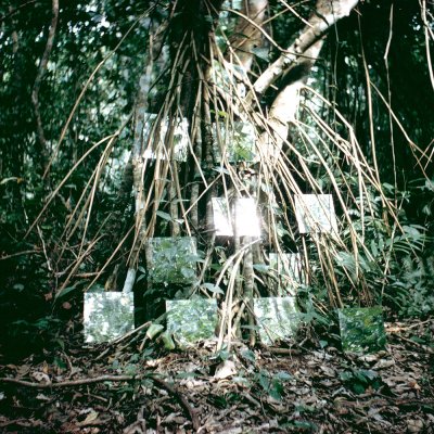 Robert Smithson Yucatan mirror displacements (1–9) 1969 (detail)